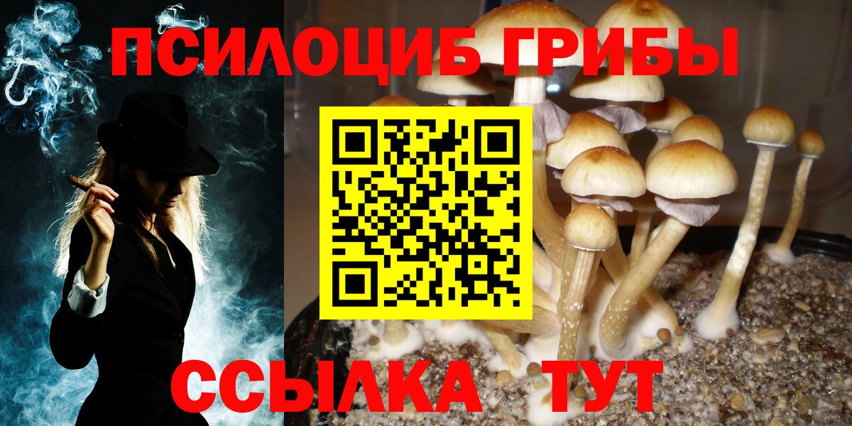 Псилоцибиновые грибы Cubensis  Вход с VPN  даркнет сайт  Псилоцибиновые грибы Psilocybine cubensis  Рубцовск 