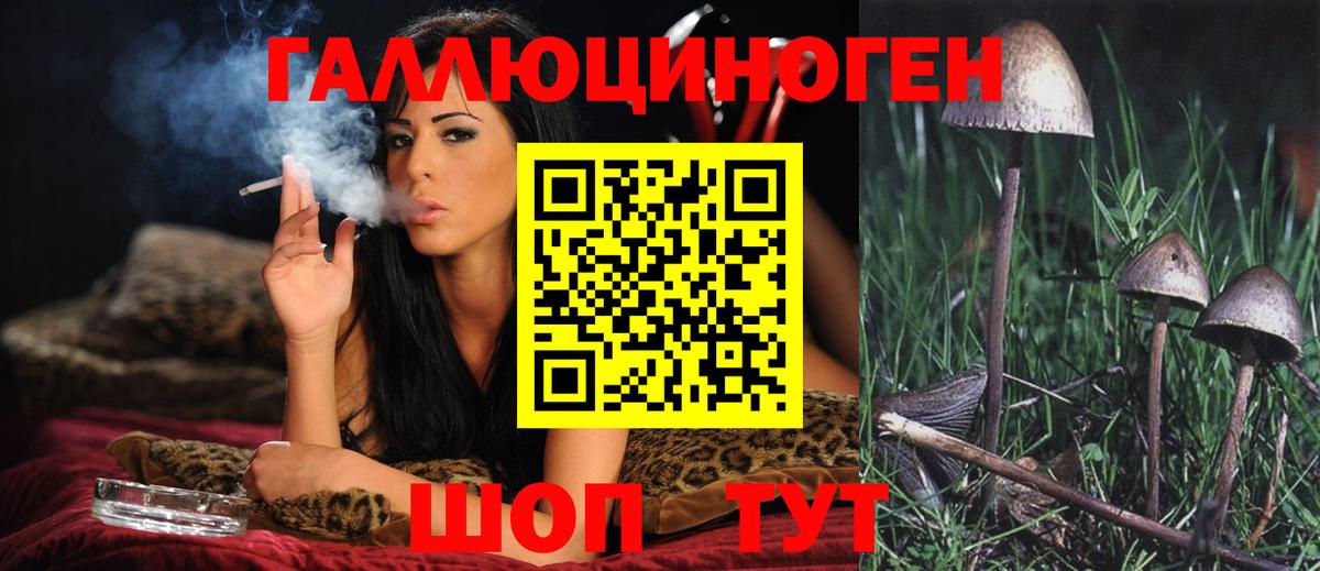 Псилоцибиновые грибы мухоморы Рубцовск